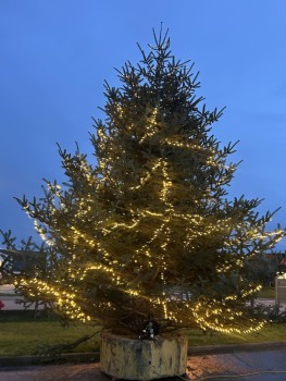 Voir la galerie (10 photos)